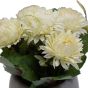 Cream Flowers in Grey Pot