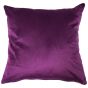 Feathers Aubergine Filled Cushion 