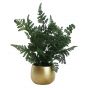 Fern in Golden Ceramic Pot