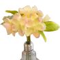 Artificial Flowers in Glass Bulb