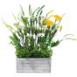Wild Flowers in Wooden Crate