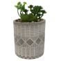Artificial Plants in Grey Pot