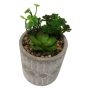 Artificial Plants in Grey Pot