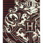 Harry Potter Beach Towel