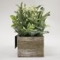 Herbs In Wooden Box