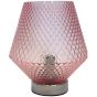 Miah Blush Lamp