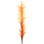 Pampas Grass Ochre 