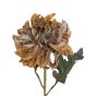 Chrysanthemum Peach Flower