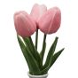 Pink Tulips in Small White Vase