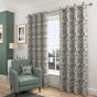 Etienne Mint Ready Made Eyelet Curtains