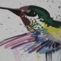 Hummingbird | Canvas 30x40