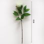 Peony Cream Artificial Flower