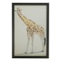 Giraffe Framed Print Wall Art