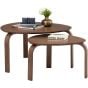 Sandra Cocoa Set of 2 Coffee Tables 