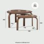 Sandra Cocoa Set of 2 Coffee Tables 