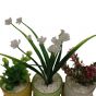 Set of 3 Artificial Plants in Glass Pots