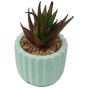 Spiky Succulent in Mint Green Pot