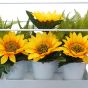 Sunflowers in White Metal Frame with Planters