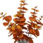 Autumnal Eucalyptus in Glass Jar