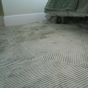 Vienna Green Rug