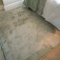 Vienna Green Rug