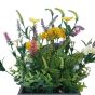 Spring Flowers in Wooden Crate