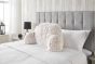 Cuddle Pink Cushion