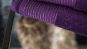 Sparkle Border Purple Towel Range