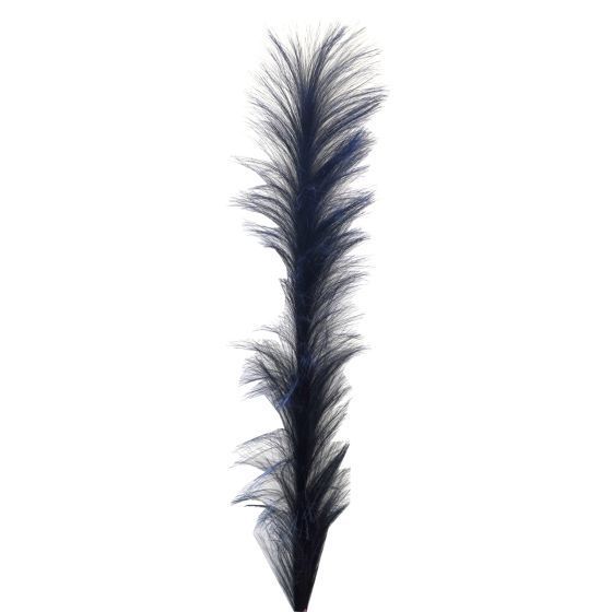 Pampas Grass Blue