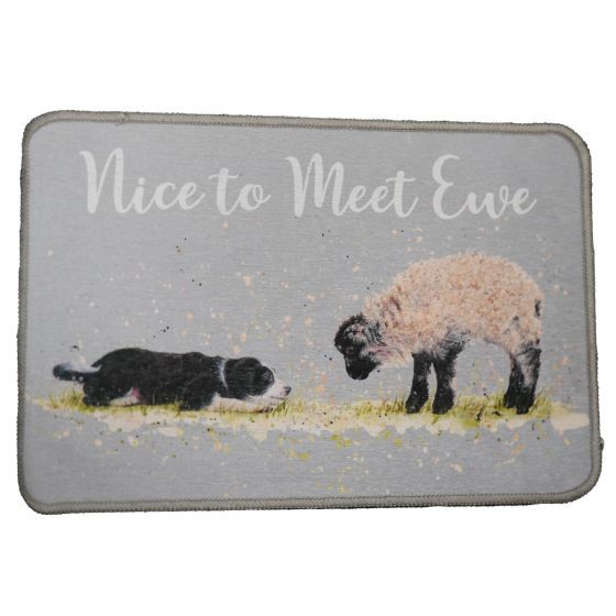 Washable Nice To Meet Ewe Doormat 40x60cm