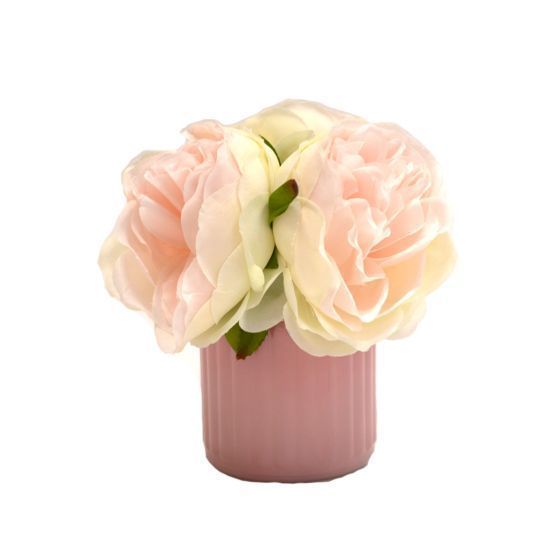 Peonies in Vase