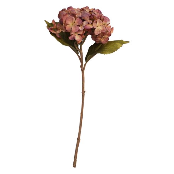 Hydrangea Red Flower