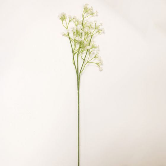 Gypsophila Green & White Flower