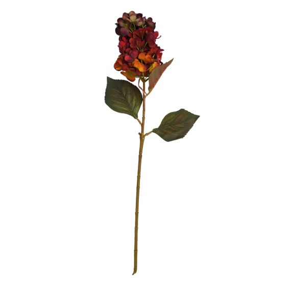 Hydrangea Burnt Orange Flower