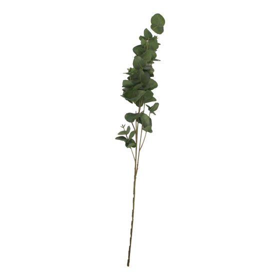 Eucalyptus Leafy Stem