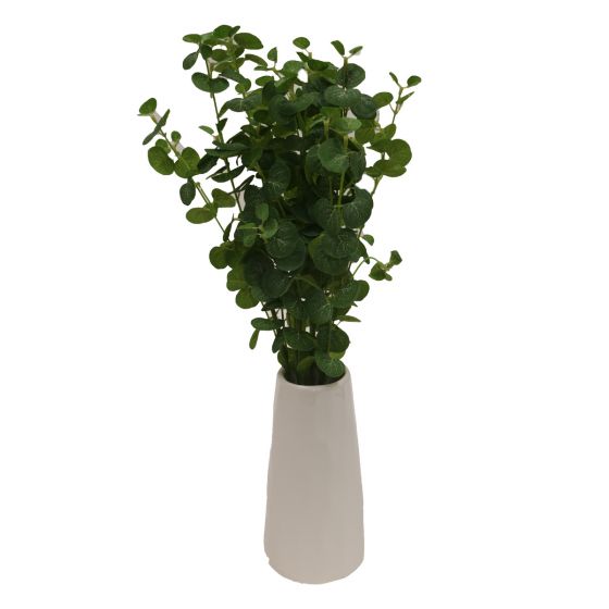 Eucalyptus In Vase