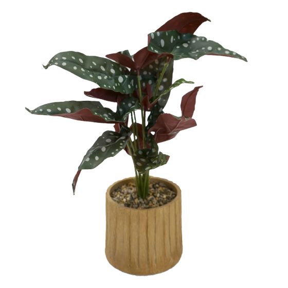 Red Potted Plant
