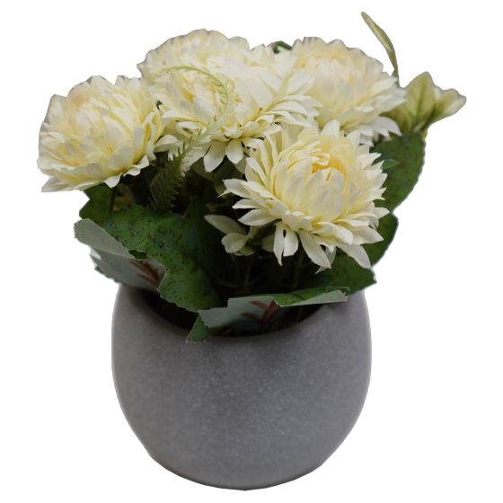 Cream Flowers in Grey Pot
