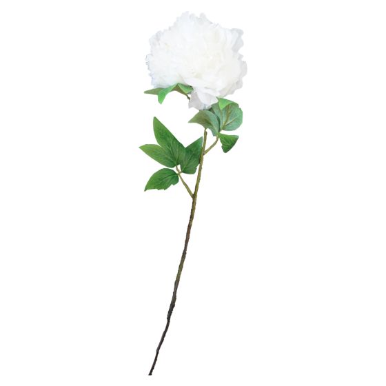 White Peony Flower