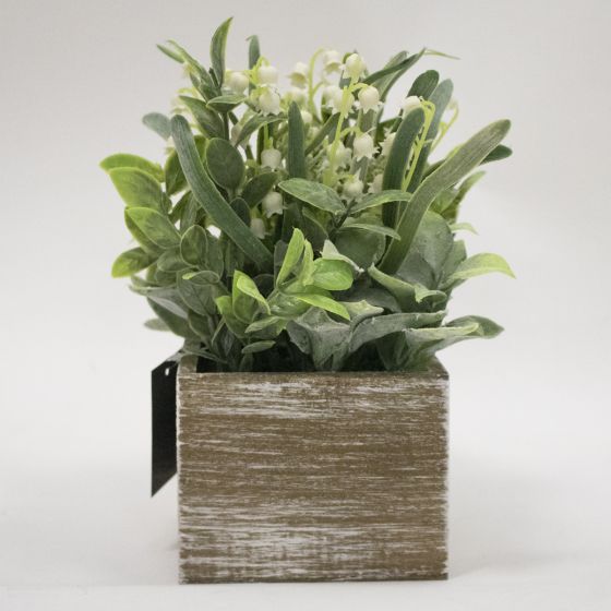 Herbs In Wooden Box
