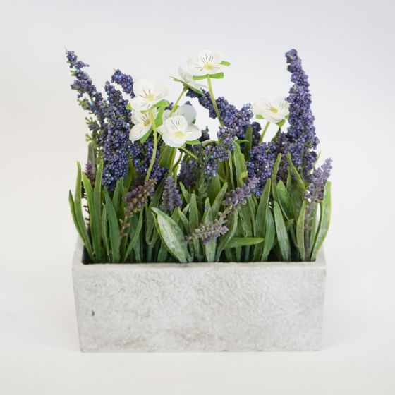 Lavender In Grey Pot 