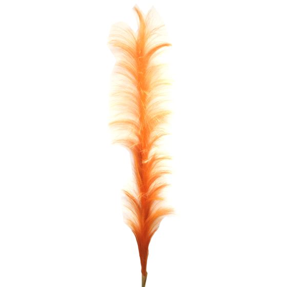 Pampas Grass Ochre 