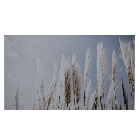 Pampas Grass Canvas Print 90x60