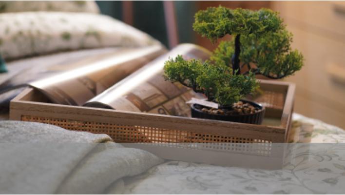 Category Sale Ornamental & Decorative image