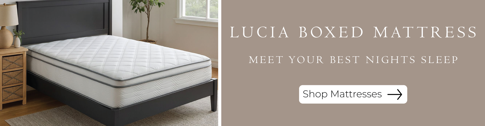 Shop Lucia Boxed Mattress